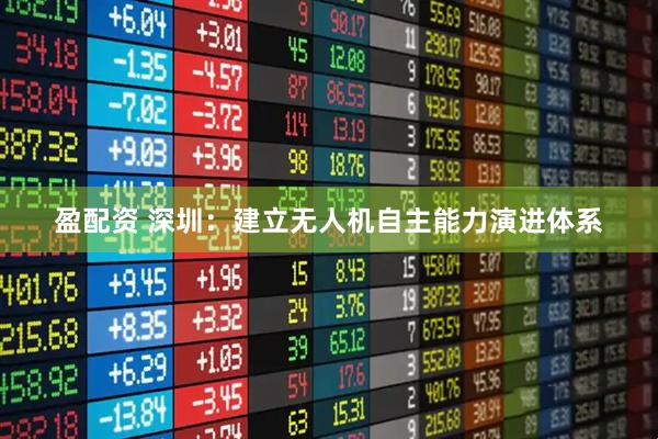 盈配资 深圳:建立无人机自主能力演进体系