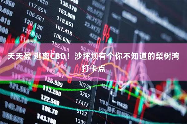 天天盈 逃离CBD！沙坪坝有个你不知道的梨树湾打卡点