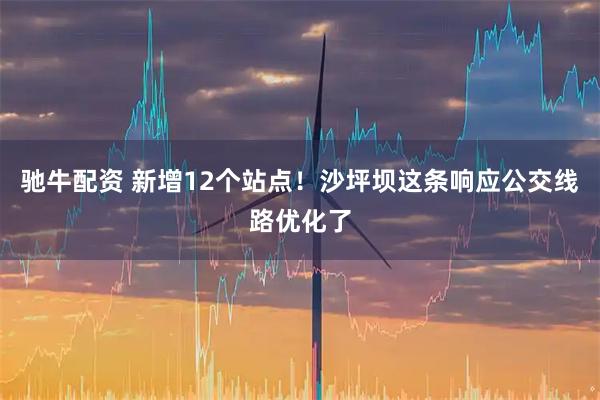 驰牛配资 新增12个站点！沙坪坝这条响应公交线路优化了